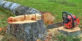 Best Tree Removal  in Huntington, VA